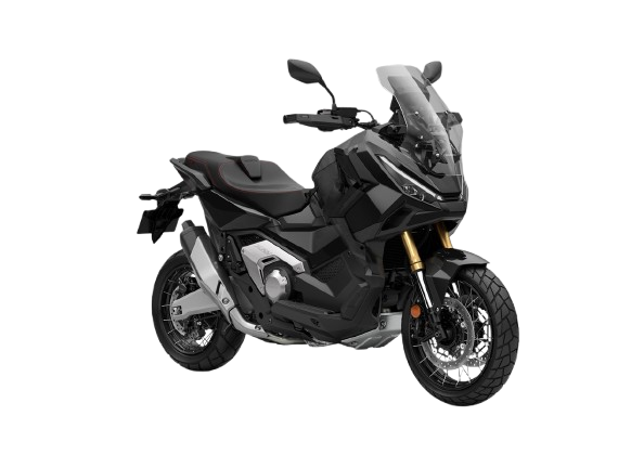 QJ MOTOR SRT 550X 2024